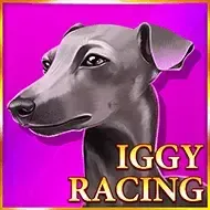 Iggy RacingOnlyplay game screenshot